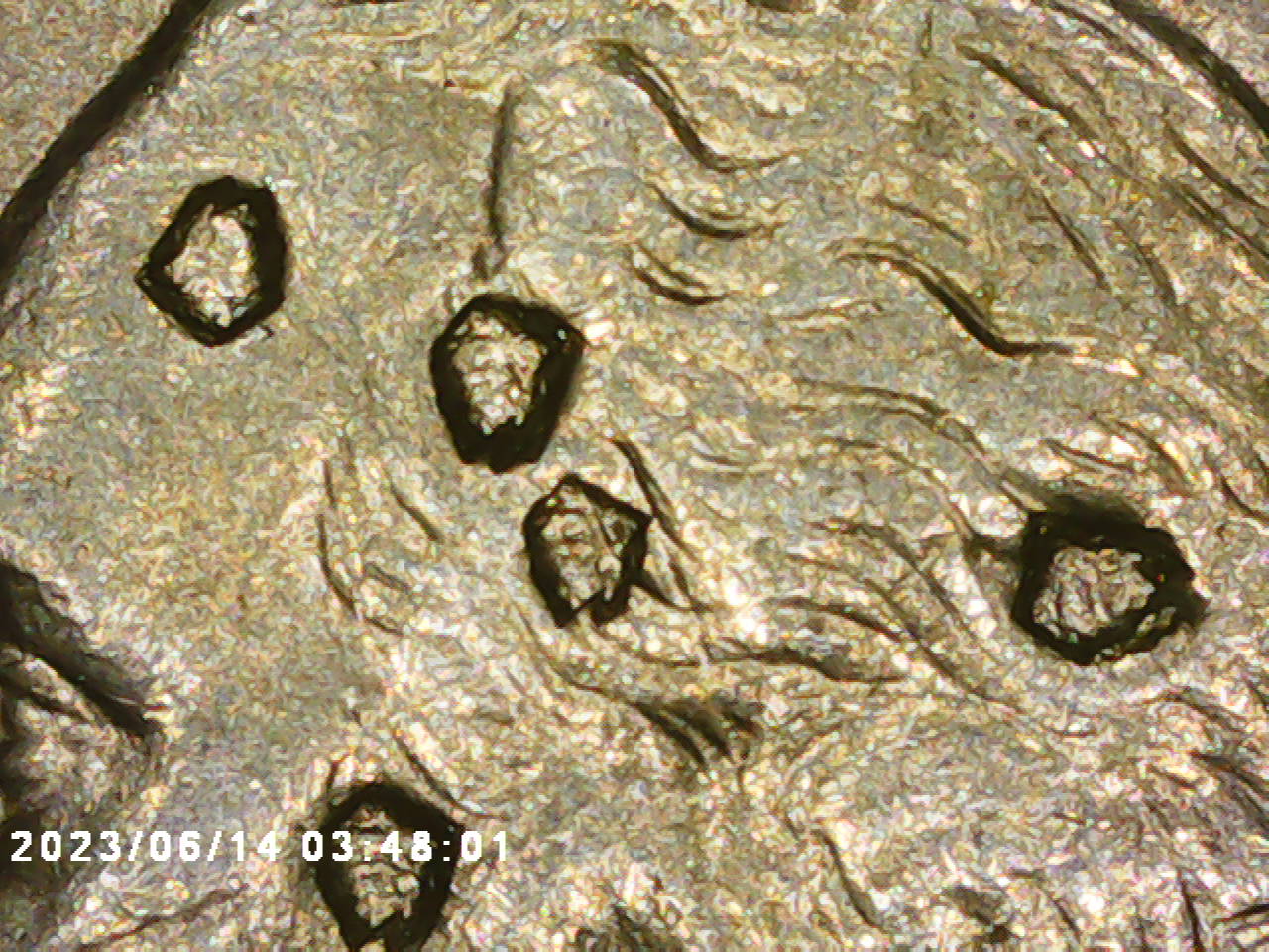 2000-P-Washington-Quarter-With-Craters